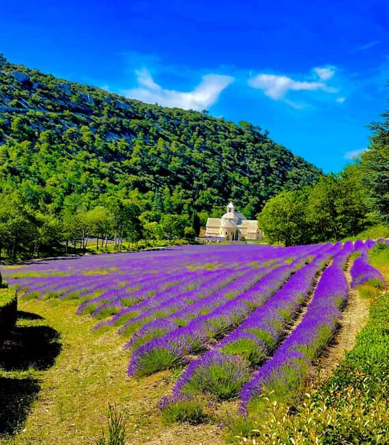 From Avignon: Provence Highlights Full-Day Tour - Practical Details: What to Expect