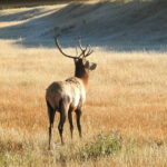 From Banff/Canmore: Deep 1 Day Tour in Banff National Park - What Makes This Tour Special?