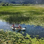 From Bar: Skadar Lake Land and Boat Tour - The Value of This Experience