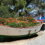 From Barcelona: Private Costa Brava Guided Tour - Who Will Love This Tour?