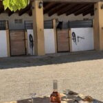 From Barcelona: PRIVATE Horseback Ride + Tapas + Picnic - A Deep Dive into the Experience