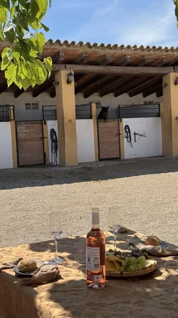 From Barcelona: PRIVATE Horseback Ride + Tapas + Picnic - A Deep Dive into the Experience