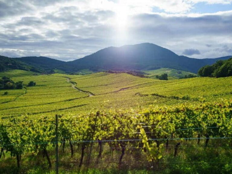 From Basel: day trip to Colmar, Hohkönigsburg, Ribeauvillé - Charming Colmar: The Fairy-Tale Town