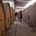 From Beaune: Burgundy Grands Crus Road Tour in a Classic Car - An In-Depth Look at the Burgundy Grands Crus Road Tour