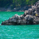 From Belek: Green Canyon Boat Trip with Lunch and Drinks - What is the Green Canyon boat trip?