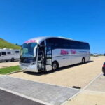 From Belfast: Causeway Express Tour Shore Excursion - An In-Depth Look at the Belfast Causeway Express Tour