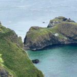 From Belfast: Giant's Causeway and Dark Hedges Day Tour - What Reviewers Say