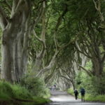 From Belfast: Giant's Causeway and Game of Thrones Tour - Practical Details & Tips