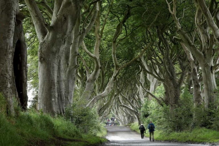 From Belfast: Giant's Causeway and Game of Thrones Tour - Practical Details & Tips
