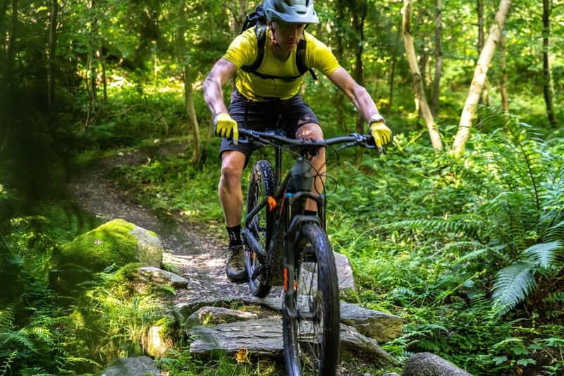 From Belfast: Mountain Bike Experience - What You’ll See and Experience