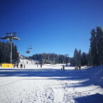 From Belgrade: Kopaonik national park & Ski resort-full day - First Stop: Exploring Kopaoniks Charm