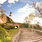 From Belgrade: Novi Sad and Sremski Karlovci Day Trip - What’s Included and What’s Not