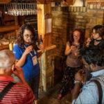 From Belgrade: Novi Sad & Sremski Karlovci Full-Day Tour - What Makes This Tour Worthwhile?