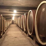 From Belgrade: Oplenac mausoleum Royal tour with winery - What We Loved About This Tour