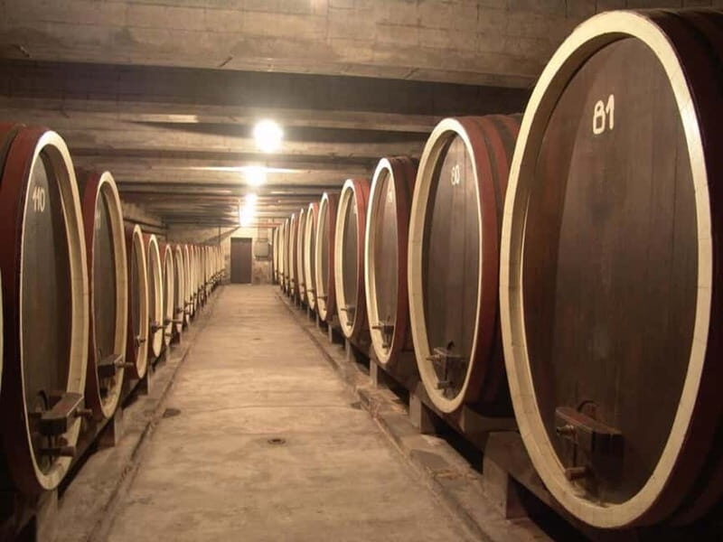 From Belgrade: Oplenac mausoleum Royal tour with winery - What We Loved About This Tour