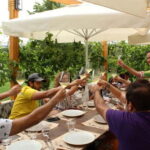 From Belgrade or Novi Sad: Private Wine Tour in Fruska Gora - Highlights That Make This Tour Special