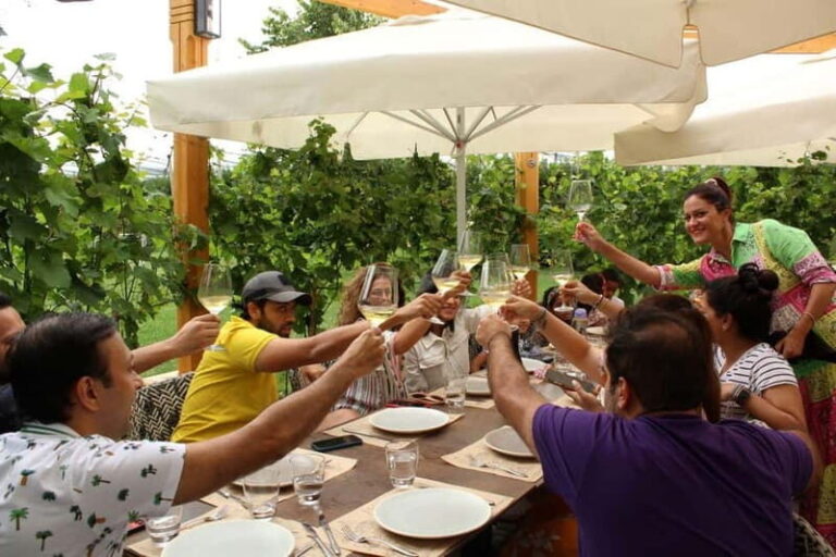 From Belgrade or Novi Sad: Private Wine Tour in Fruska Gora - Highlights That Make This Tour Special