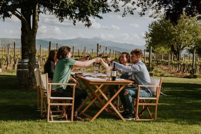 From Bilbao: La Rioja a journey to the vineyards & tradition - First Stop: A Traditional Winery in Rioja Alavesa