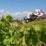 From Bilbao: Private Winery Tour with Wine Tasting & Lunch - An In-Depth Look at the Experience