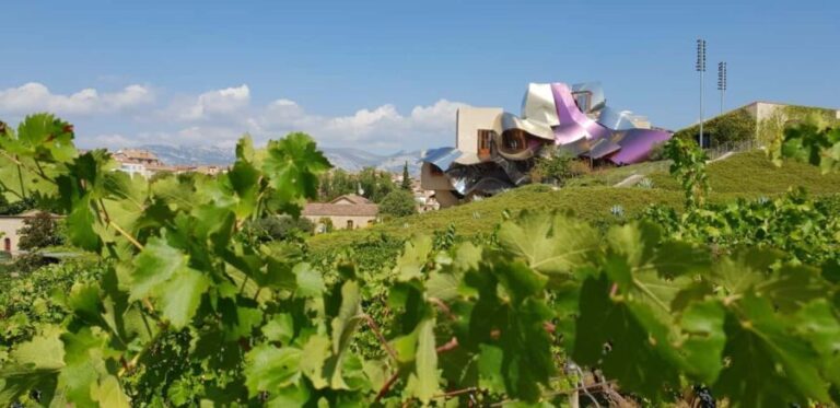 From Bilbao: Private Winery Tour with Wine Tasting & Lunch - An In-Depth Look at the Experience