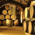 From Bilbao: Rioja Wine Region with Winery & Vitoria-Gasteiz - What Makes This Tour Stand Out?