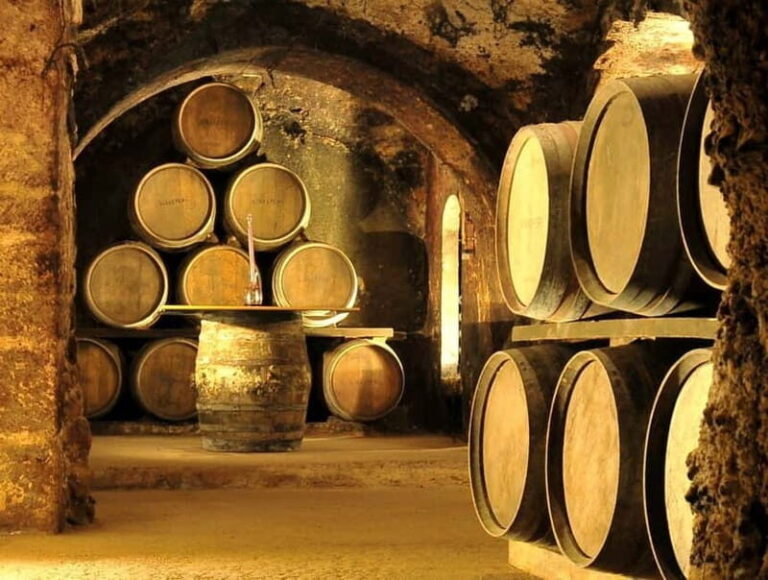 From Bilbao: Rioja Wine Region with Winery & Vitoria-Gasteiz - What Makes This Tour Stand Out?