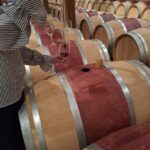 From Bordeaux: 2 Wineries MEDOC Tour with Tastings - What Makes This Tour Stand Out?