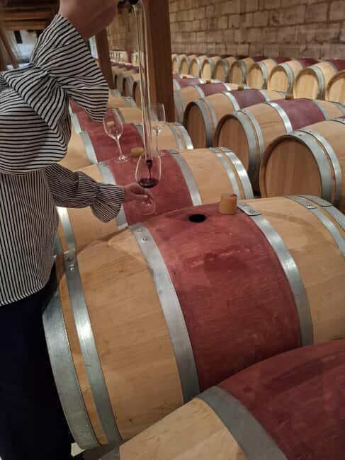 From Bordeaux: 2 Wineries MEDOC Tour with Tastings - What Makes This Tour Stand Out?