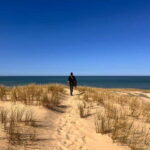 From Bordeaux: Cap Ferret Peninsula Private Tour, Ocean and Oyster Village - Practical Details & Value