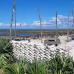 From Bordeaux: Dune du Pilat, Arcachon Bay and Oyster Village Private Tour - What Travelers Say: Authentic Insights