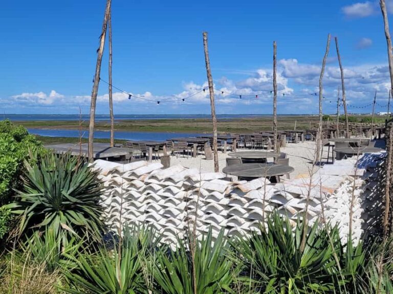 From Bordeaux: Dune du Pilat, Arcachon Bay and Oyster Village Private Tour - What Travelers Say: Authentic Insights