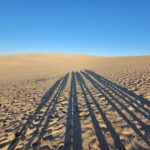 From Bordeaux: Dune du Pilat Sunset Tour - Deep Dive into the Itinerary