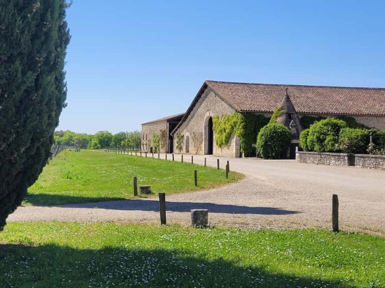 From Bordeaux: Private tour Monbazillac (Castle, Wine & Food in Dordogne) - The Itinerary in Depth