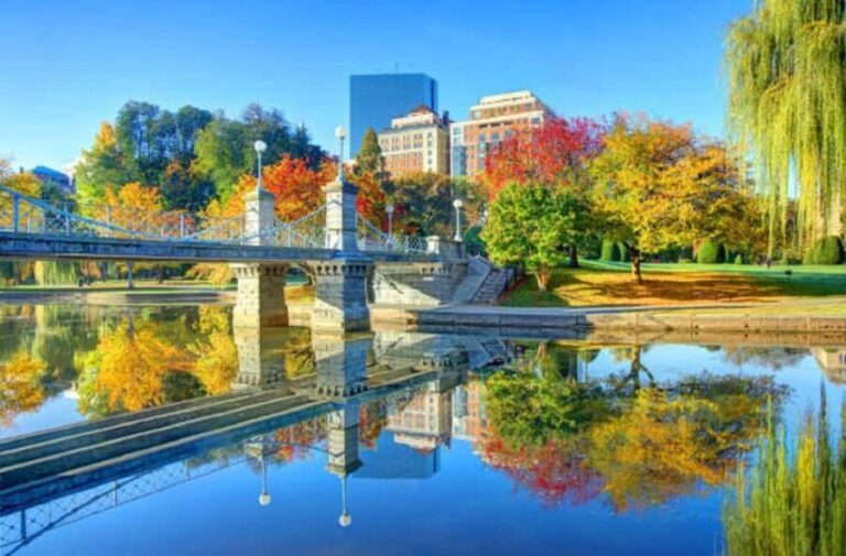 From Boston:Public Garden,Beacon Hill&More Half Day tour - Transportation and Guide Experience