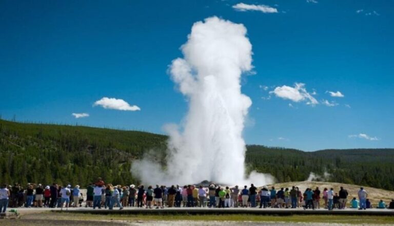 From Bozeman: Yellowstone Day Tour (Lower Loop) - Fountain Paint Pot and Geothermal Wonders