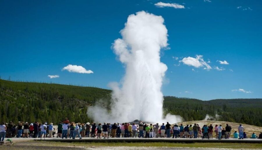 From Bozeman: Yellowstone Day Tour (Lower Loop) - Fountain Paint Pot and Geothermal Wonders