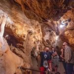 From Bratislava: Castles, Nature & Culture Guided Day Tour - The Ultimate Guide to the From Bratislava: Castles, Nature & Culture Tour