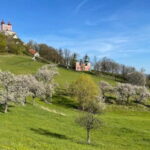From Bratislava: Day Trip to UNESCO Town of Banská tiavnica - Deep Dive into the Details