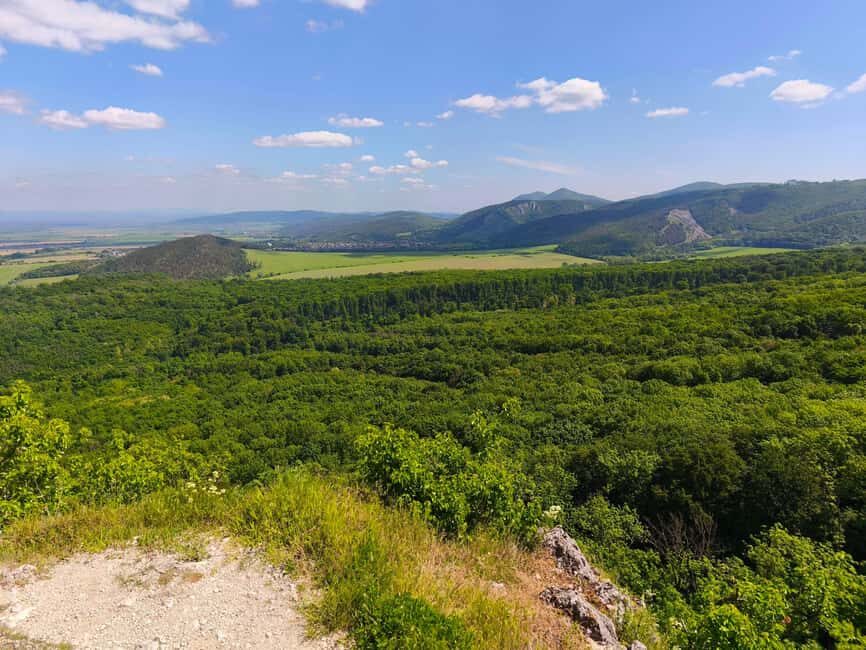 From Bratislava: Wine Tasting & Castles Guided Day Trip - Pricing and Value