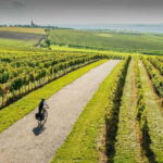 From Brno: Moravian Tuscany E-Bike Tour with Wine Tasting - Value and Practicality