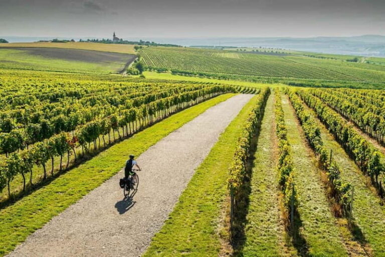 From Brno: Moravian Tuscany E-Bike Tour with Wine Tasting - Value and Practicality  