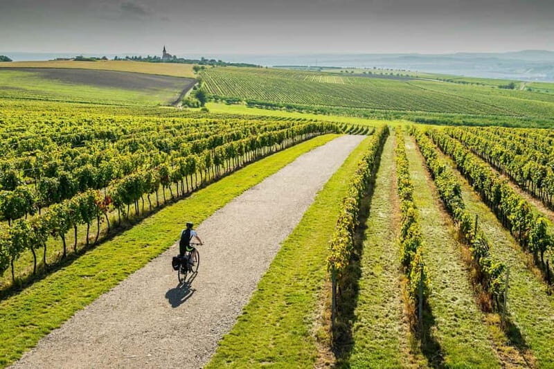 From Brno: Moravian Tuscany E-Bike Tour with Wine Tasting - Value and Practicality  