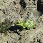 From Bucharest: 3-Day Danube Delta Birdwatching Private Tour - Why This Tour Offers Great Value