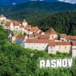 From Bucharest: Bears Sanctuary&Rasnov Fortress Private tour - The Itinerary Breakdown