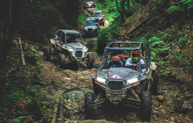 From Bucharest: BUGGY Quad Tour in the Carpathian Mountains - The Itinerary: What to Expect