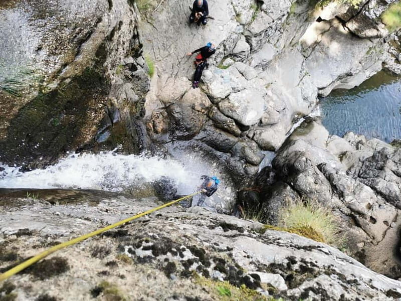 From Bucharest: Canyoning Adventure in Sinaia - What Makes This Tour Stand Out?