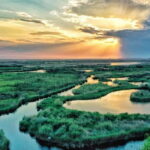 From Bucharest: Danube Delta Private Day Trip with Boat Tour - Why This Tour Works Well