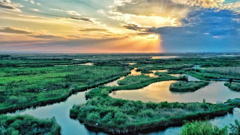 From Bucharest: Danube Delta Private Day Trip with Boat Tour - Why This Tour Works Well