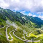 From Bucharest: Fgra Mountains and Bear Watching Tour - Price and Value