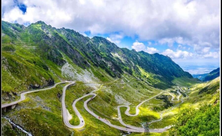 From Bucharest: Fgra Mountains and Bear Watching Tour - Price and Value